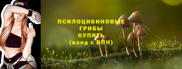 сатива Богданович