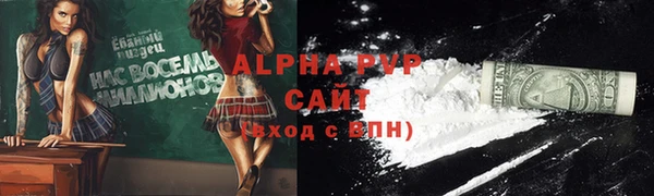 сатива Богданович