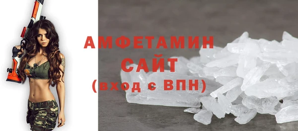 спиды Богородицк