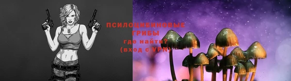 сатива Богданович