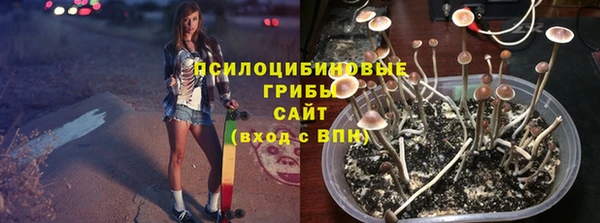спиды Богородицк