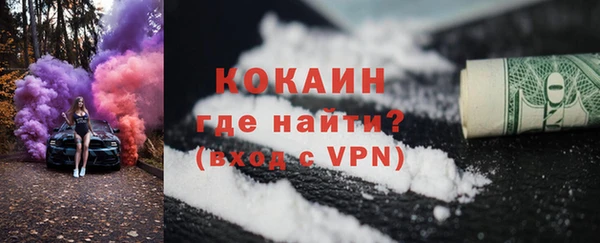 сатива Богданович