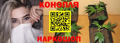 гидропоника Волжский