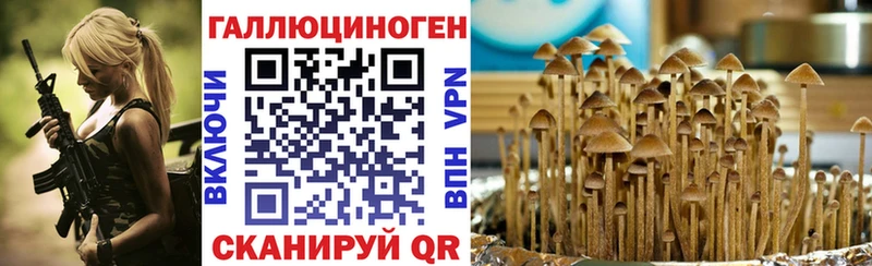 Псилоцибиновые грибы прущие грибы  Великие Луки 