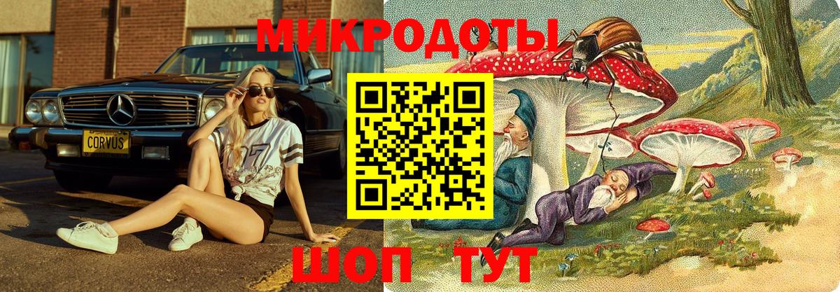 Галлюциногенные грибы Psilocybine cubensis Великие Луки