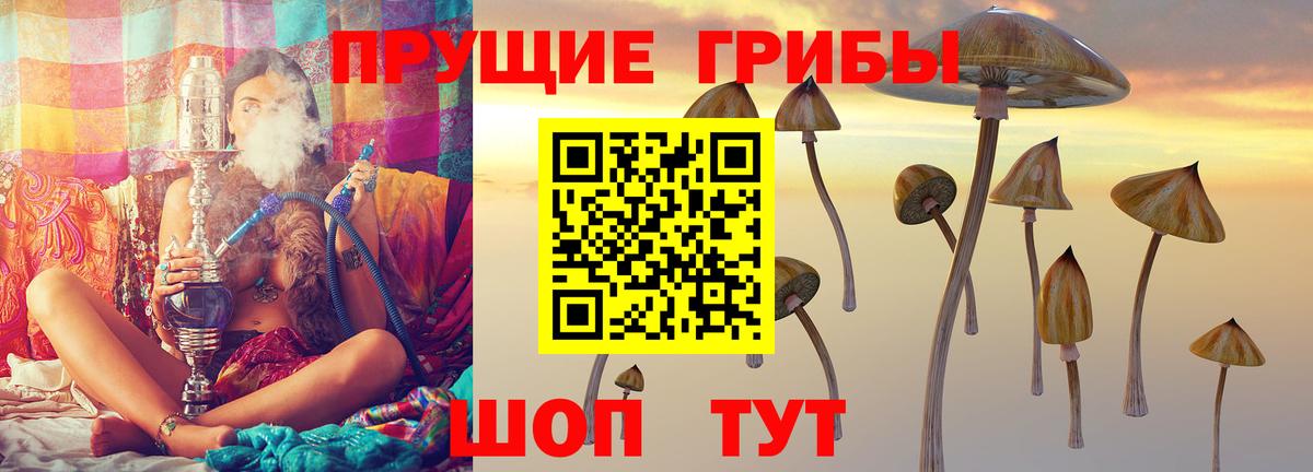 Псилоцибиновые грибы MAGIC MUSHROOMS  Псилоцибиновые грибы мухоморы  наркошоп  Вход с VPN  Великие Луки 